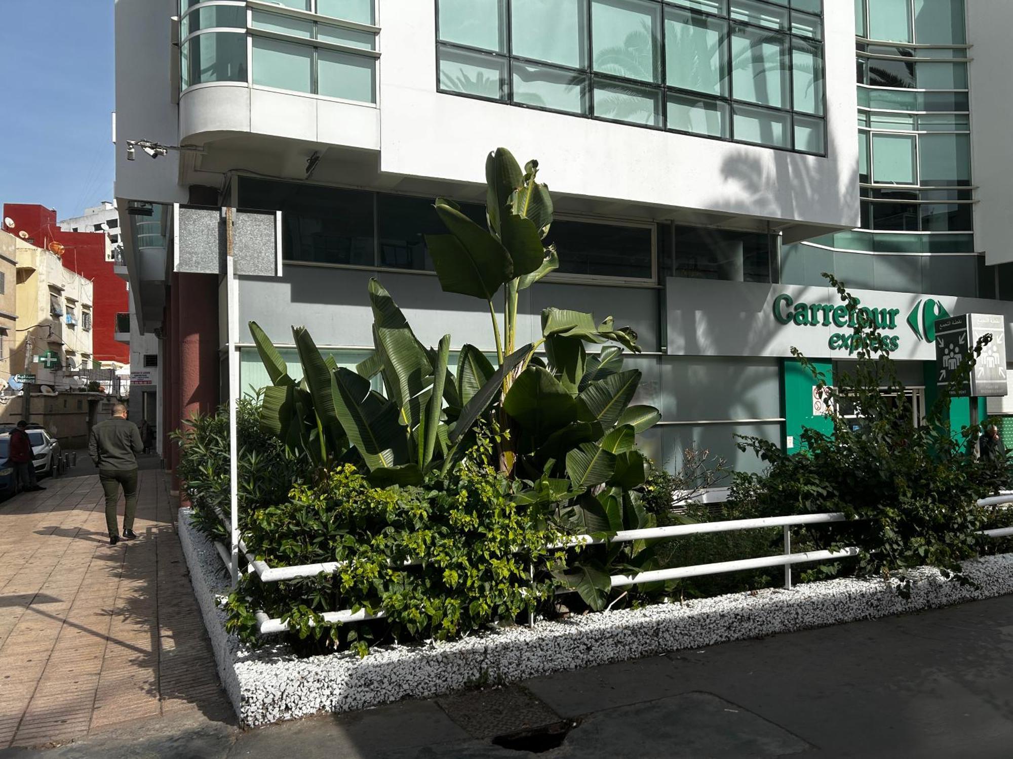 Appartamento Chez Vous Au Coeur De Casablanca